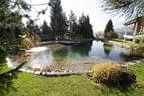 Schwimmteich naturnah