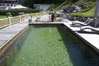 Gäste-Badeteich